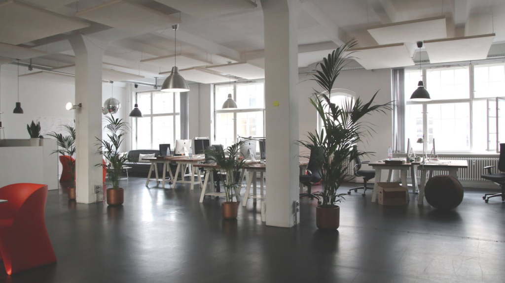A clean office space with green planters.
